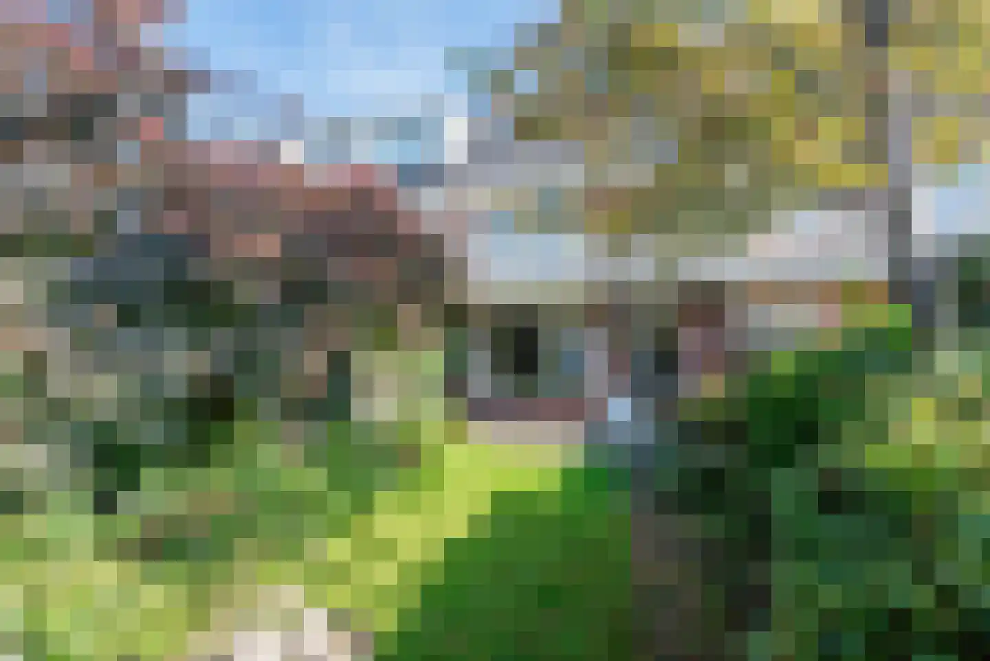 Dolfijnstraat 19 Haarlem thumbnail 19