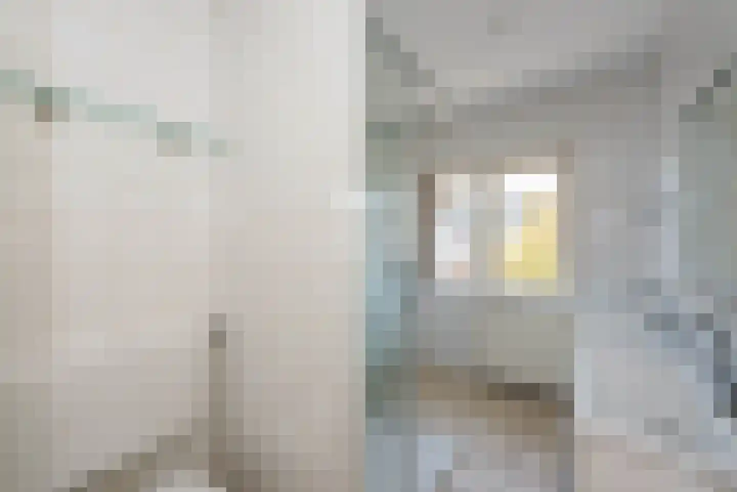 Dolfijnstraat 19 Haarlem thumbnail 20