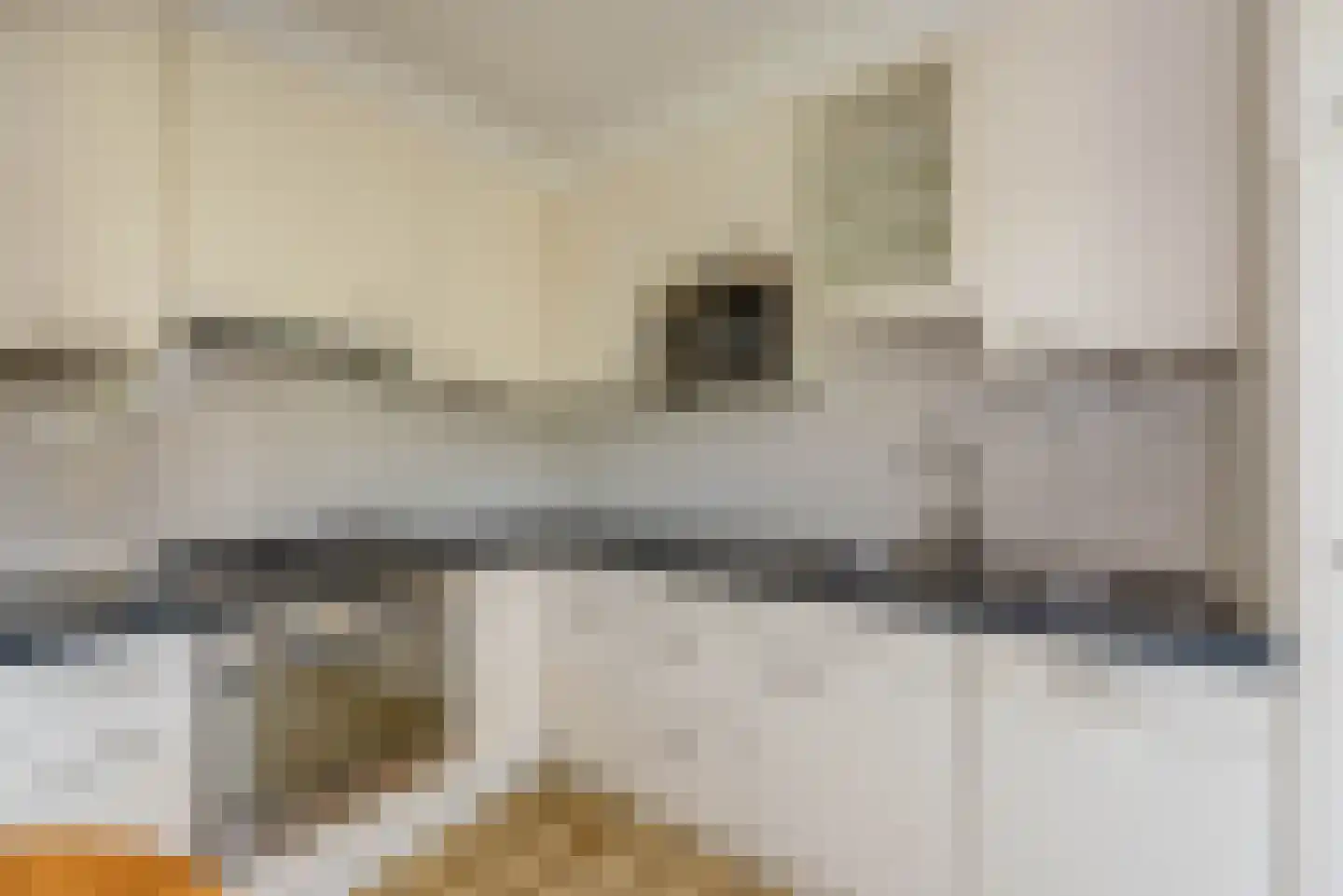 Dolfijnstraat 19 Haarlem thumbnail 4