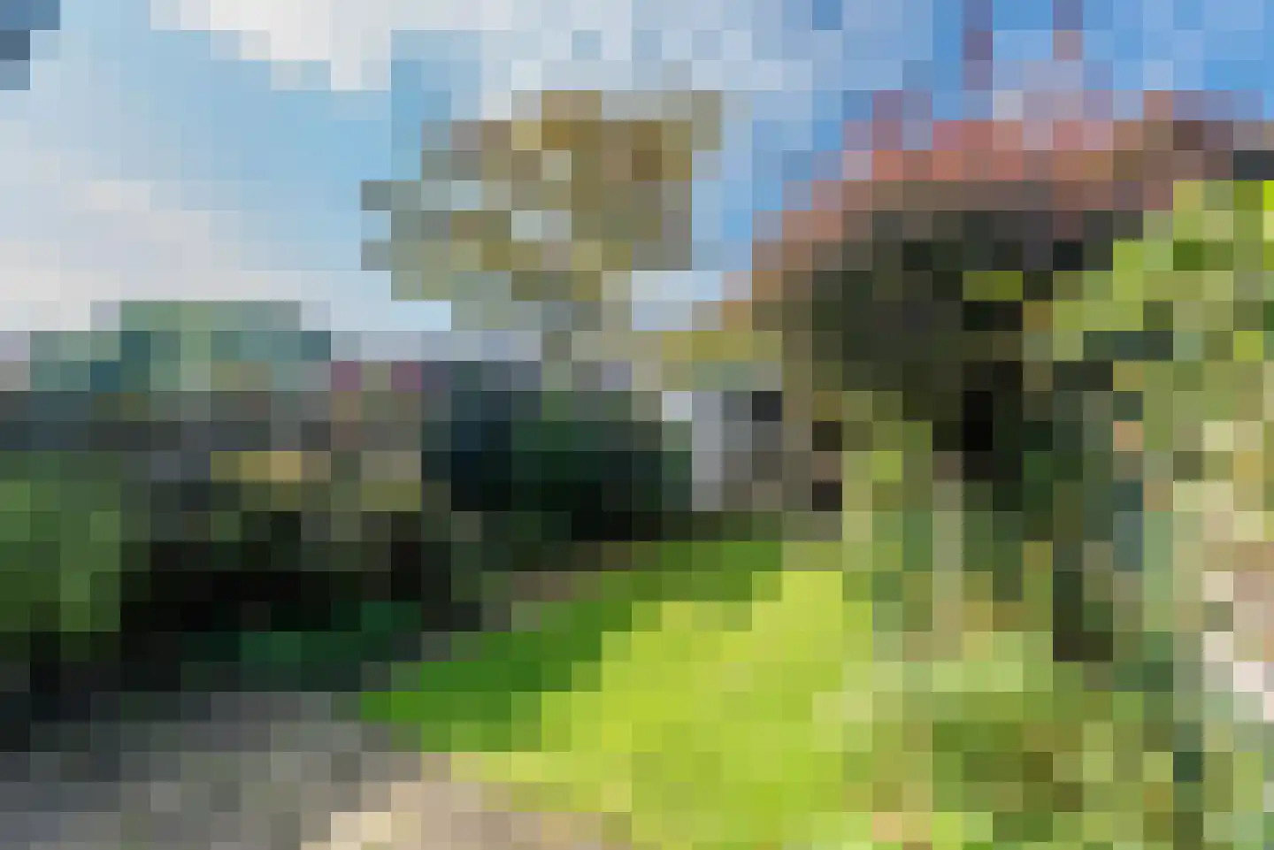 Dolfijnstraat 19 Haarlem thumbnail 5