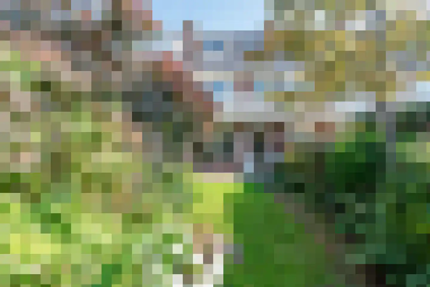 Dolfijnstraat 19 Haarlem thumbnail 6