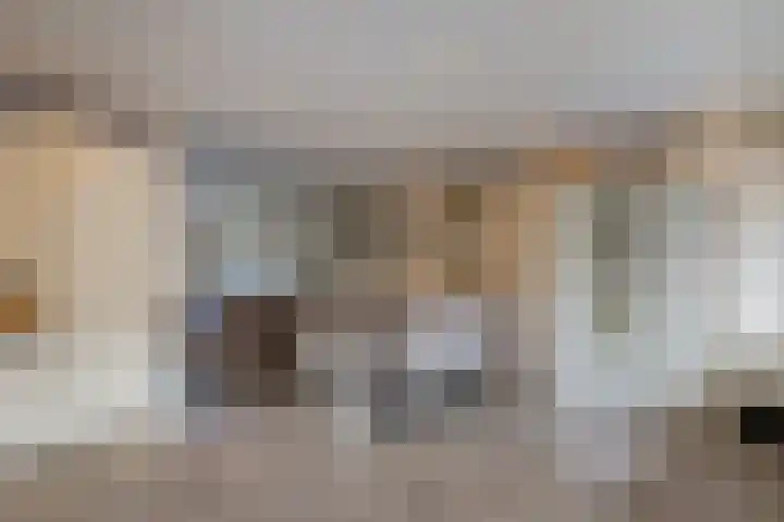 Dolfijnstraat 208 IJmuiden thumbnail 16