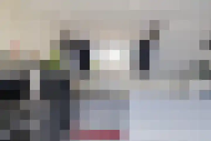 Dolfijnstraat 208 IJmuiden thumbnail 35