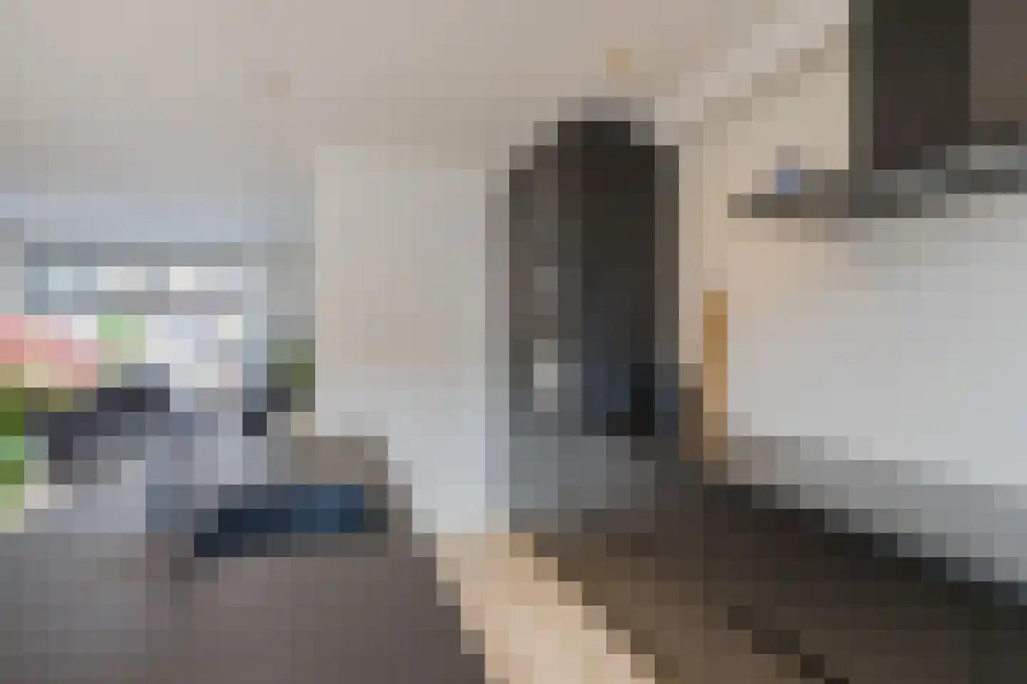 Dolfijnstraat 218 IJmuiden thumbnail 15