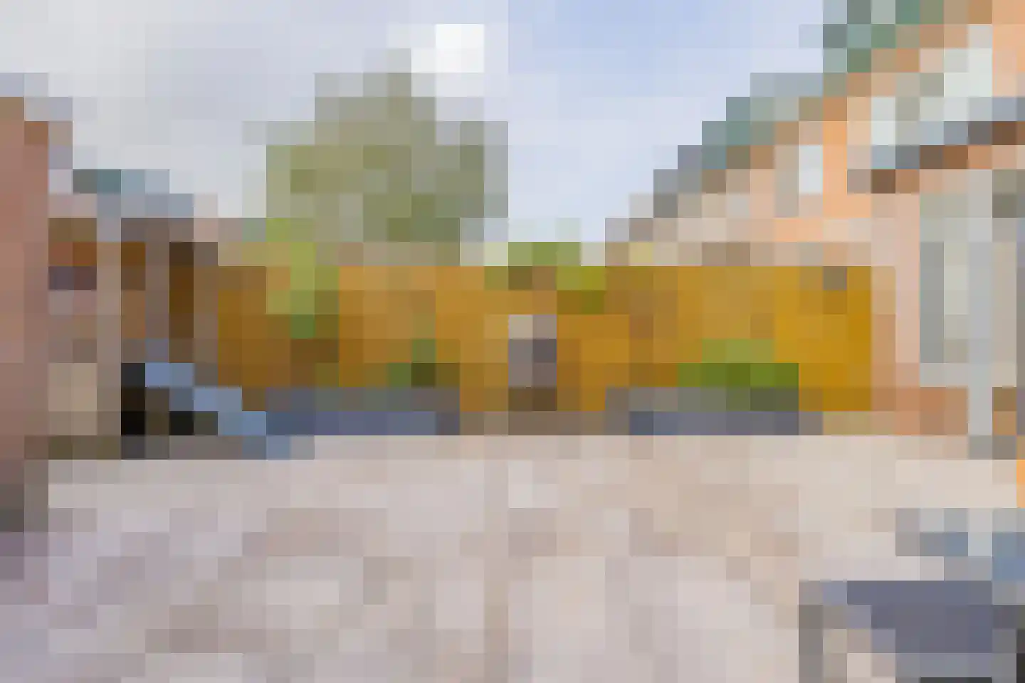 Dolfijnstraat 218 IJmuiden thumbnail 21