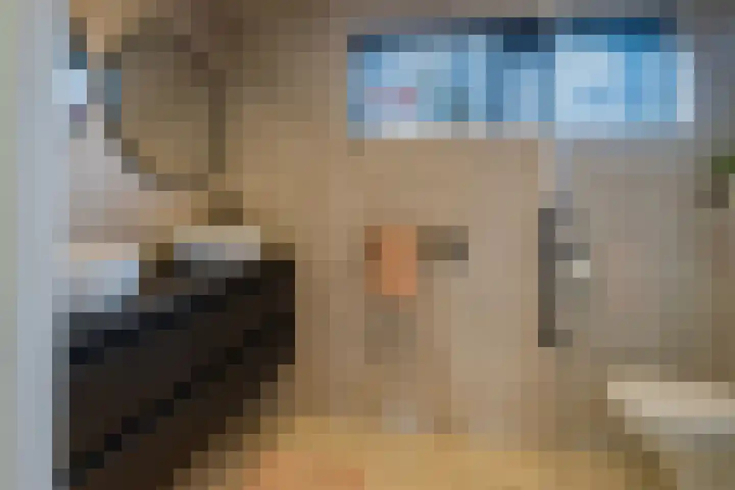 Dolfijnstraat 218 IJmuiden thumbnail 32