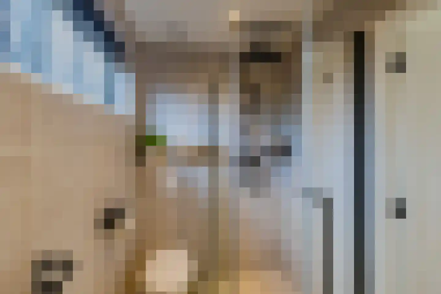 Dolfijnstraat 218 IJmuiden thumbnail 33