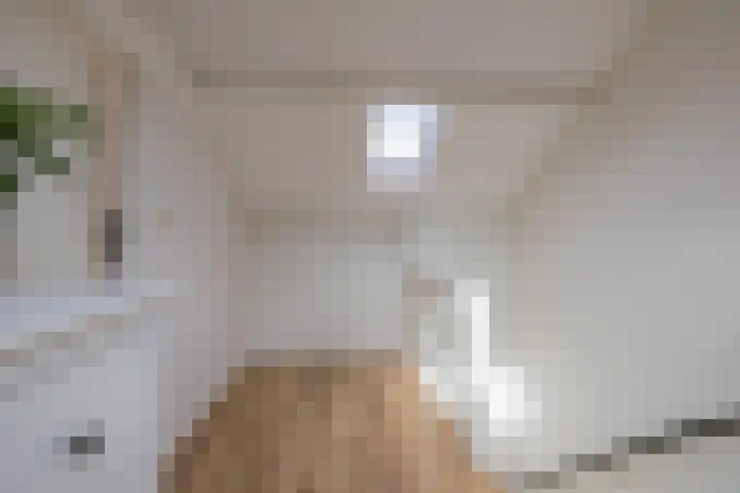 Dolfijnstraat 218 IJmuiden thumbnail 37