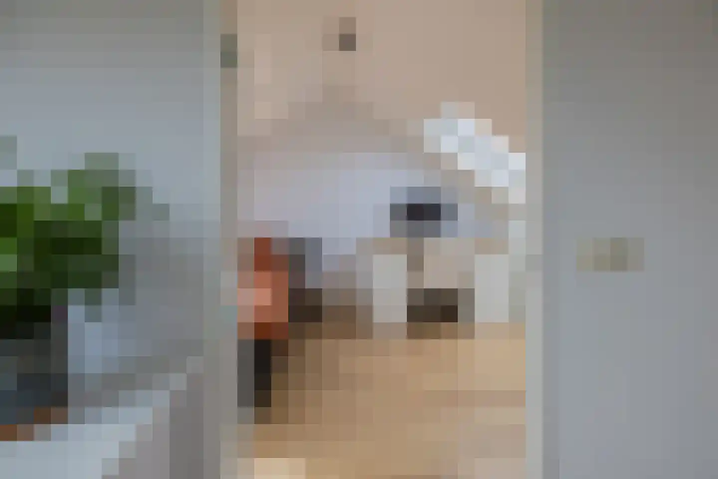Dolfijnstraat 218 IJmuiden thumbnail 38