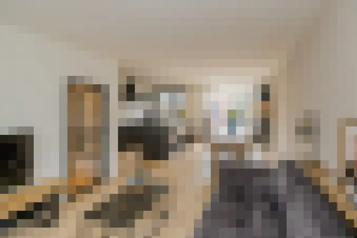 Dolfijnstraat 218 IJmuiden thumbnail 4