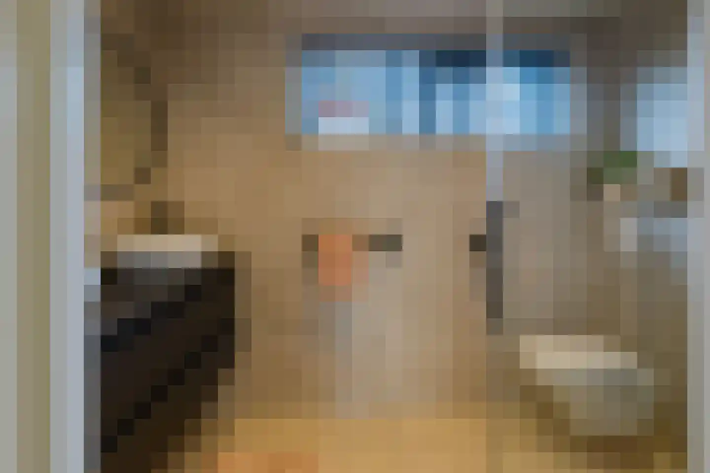 Dolfijnstraat 218 IJmuiden thumbnail 6