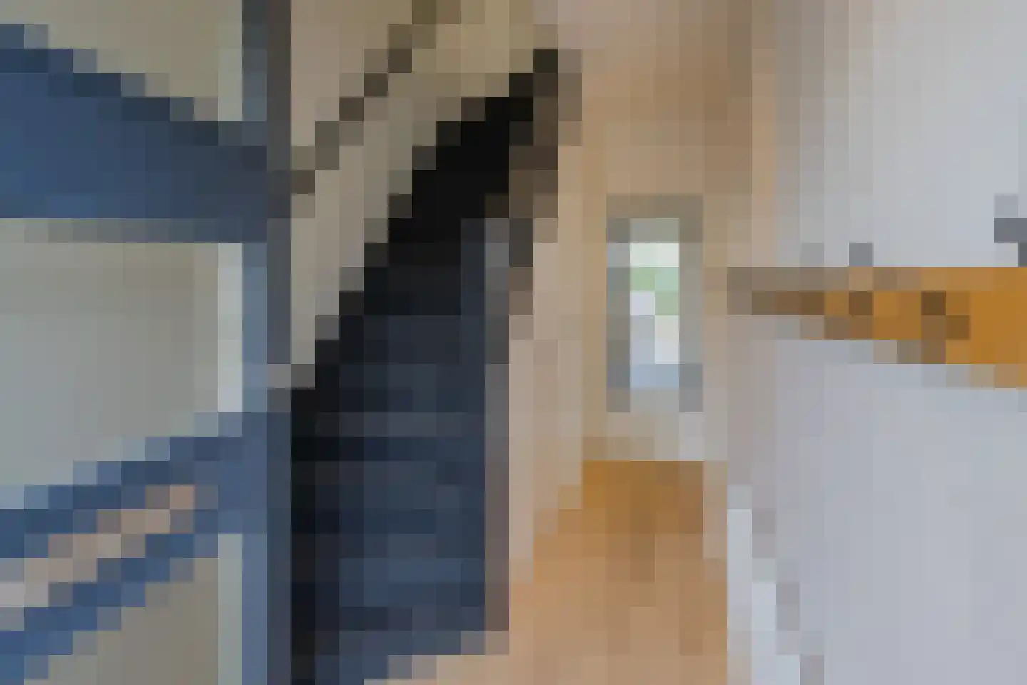 Dolfijnstraat 218 IJmuiden thumbnail 8