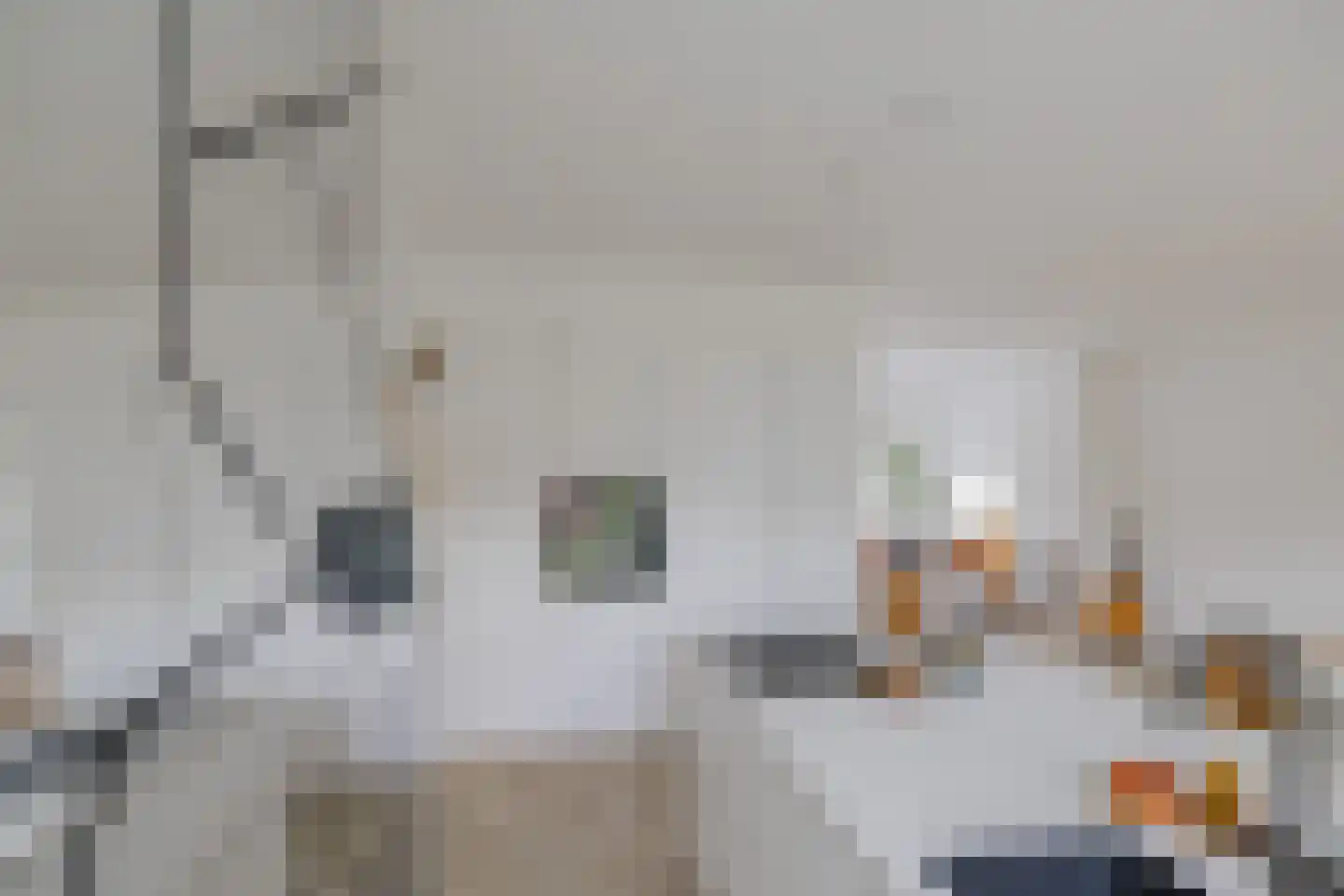 Dolfijnstraat 228 IJmuiden thumbnail 14