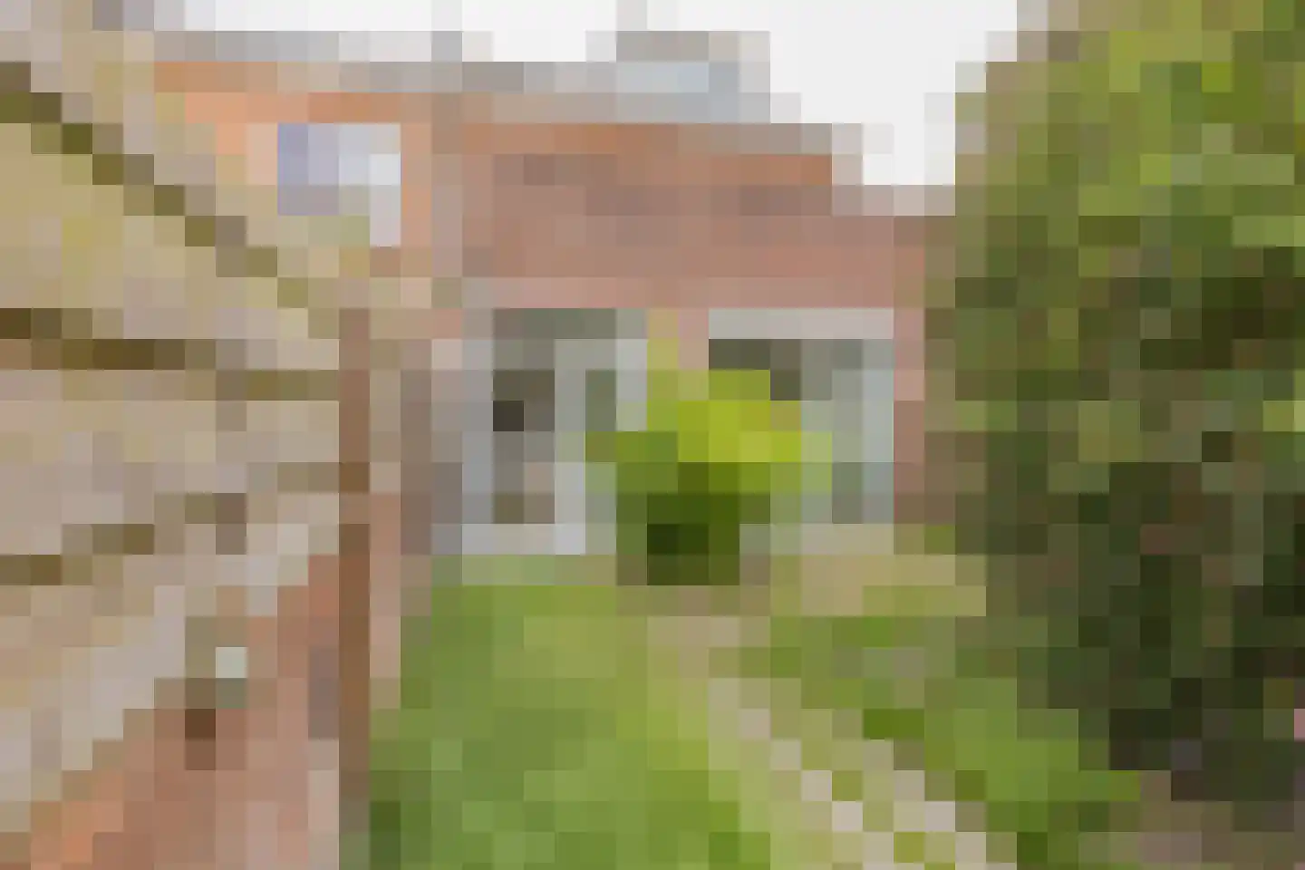 Dolfijnstraat 228 IJmuiden thumbnail 17