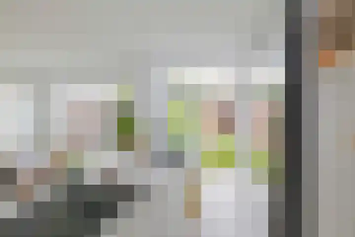Dolfijnstraat 228 IJmuiden thumbnail 18