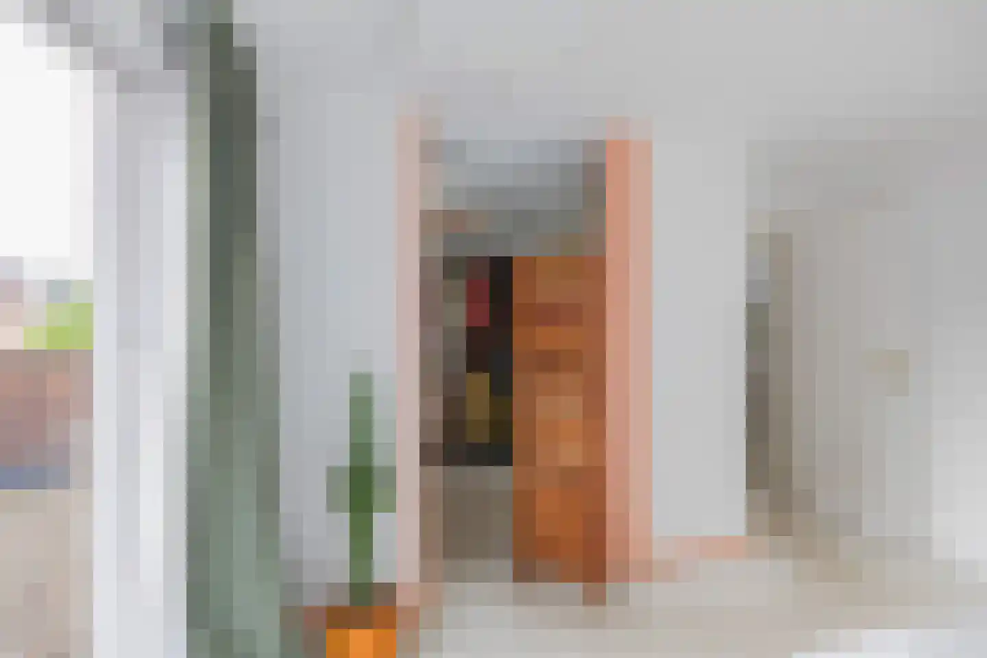 Dolfijnstraat 228 IJmuiden thumbnail 22