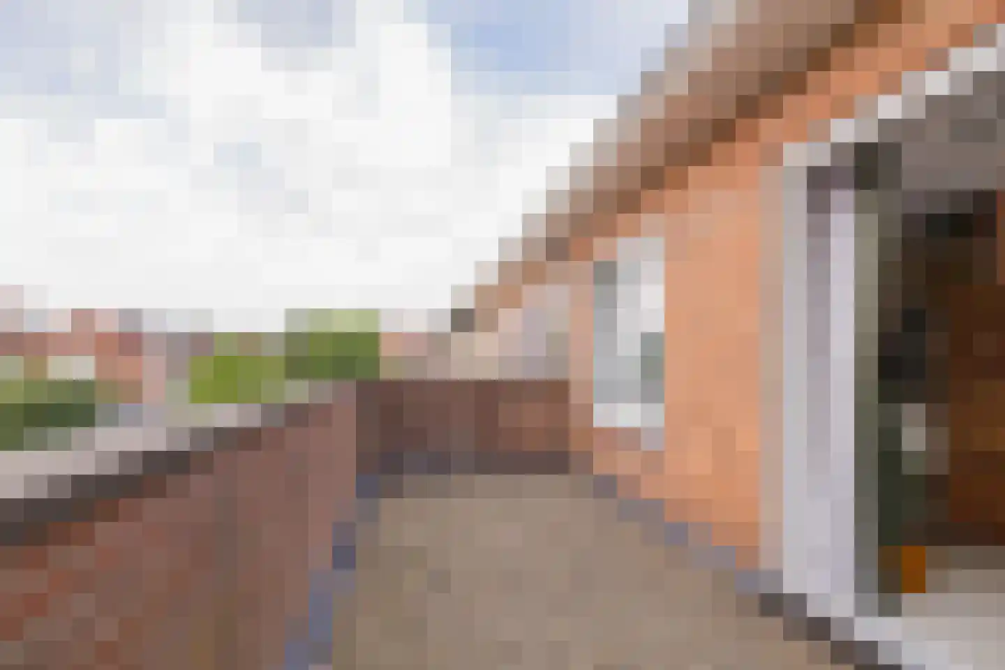 Dolfijnstraat 228 IJmuiden thumbnail 24