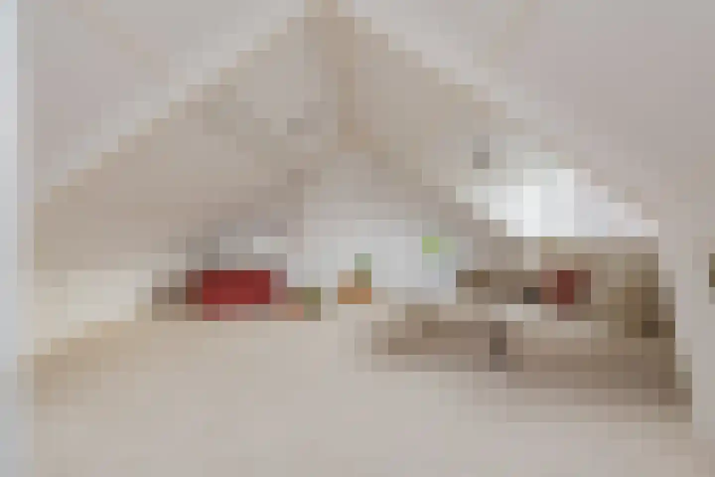 Dolfijnstraat 228 IJmuiden thumbnail 32