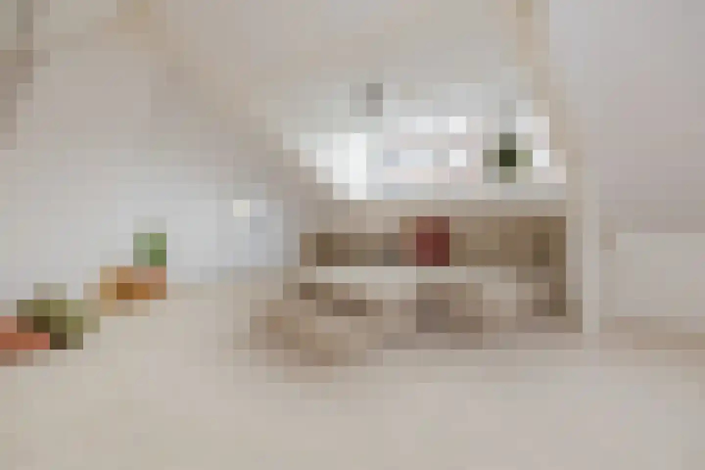 Dolfijnstraat 228 IJmuiden thumbnail 34
