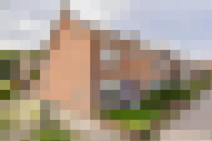 Dolfijnstraat 228 IJmuiden thumbnail 41