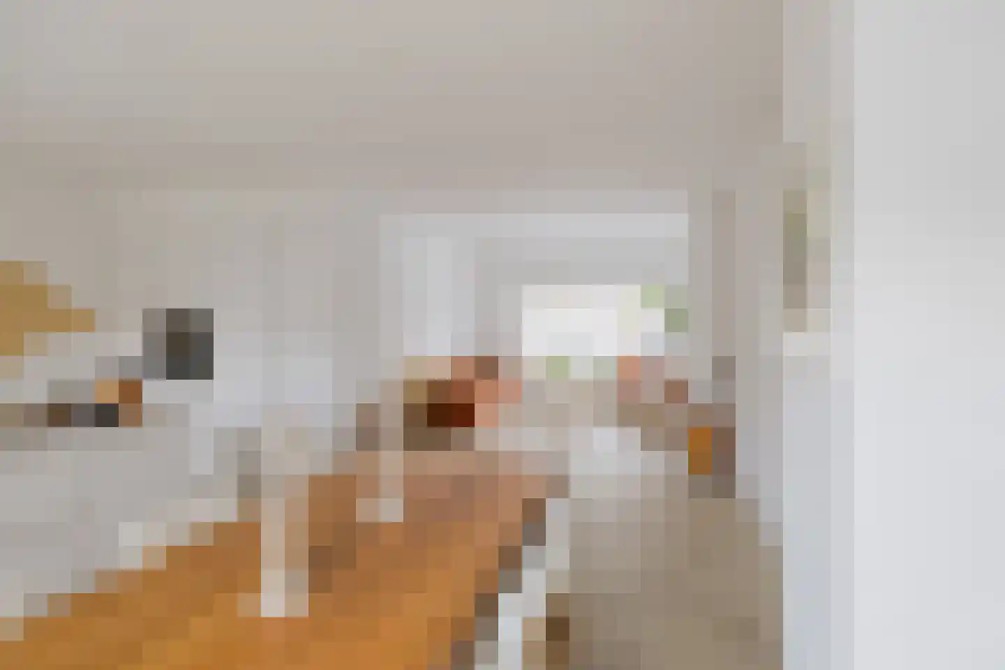Dolfijnstraat 228 IJmuiden thumbnail 9