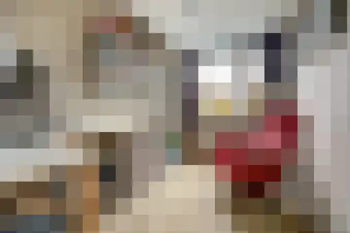 Dolfijnstraat 29 Middelburg thumbnail 20