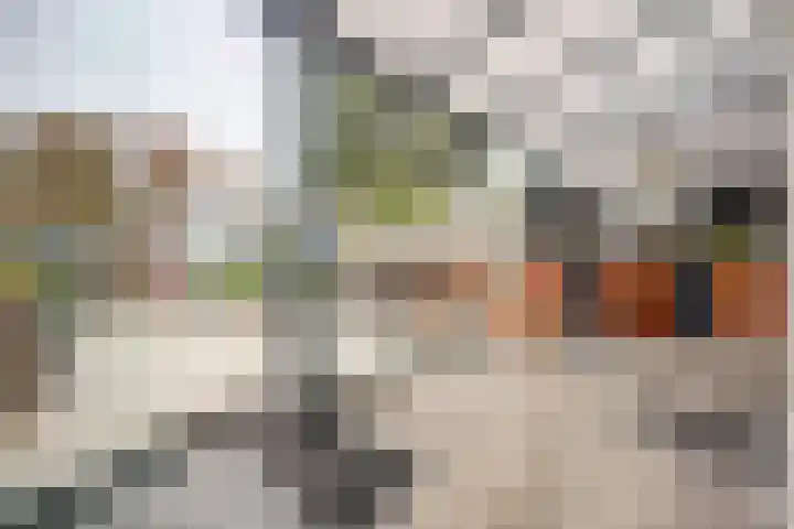 Dolfijnstraat 29 Middelburg thumbnail 26