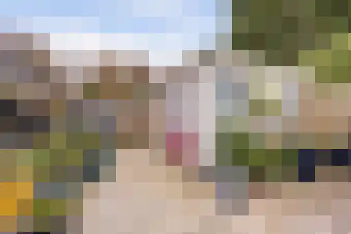 Dolfijnstraat 29 Middelburg thumbnail 28