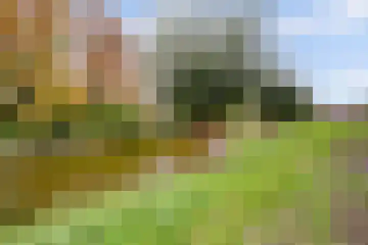 Dolfijnstraat 29 Middelburg thumbnail 31
