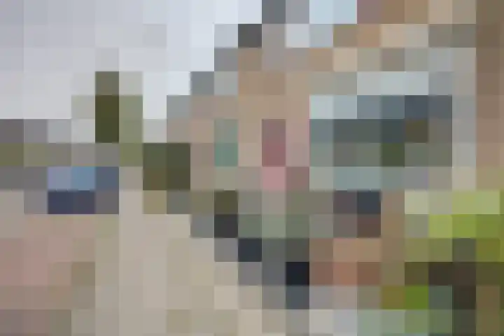 Dolfijnstraat 29 Middelburg thumbnail 7