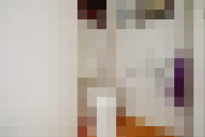 Dolfijnstraat 29 Middelburg thumbnail 8