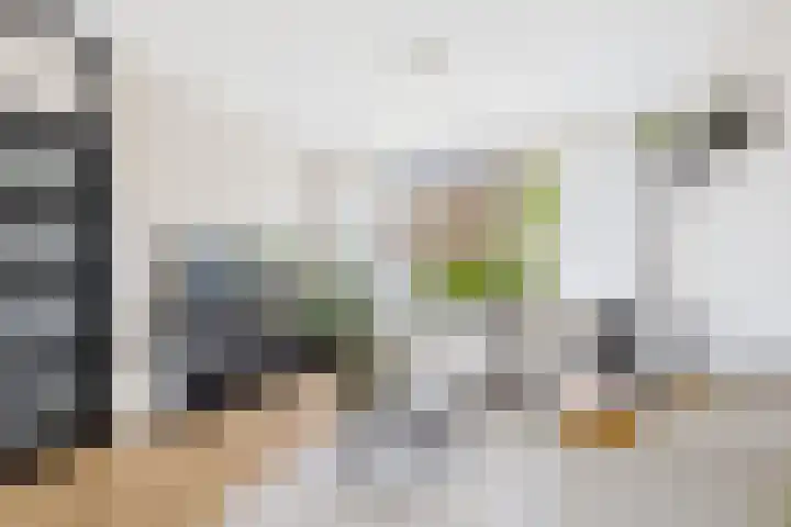 Dolfijnstraat 57 Middelburg thumbnail 12