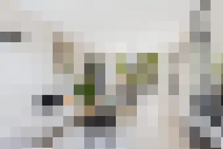 Dolfijnstraat 57 Middelburg thumbnail 14
