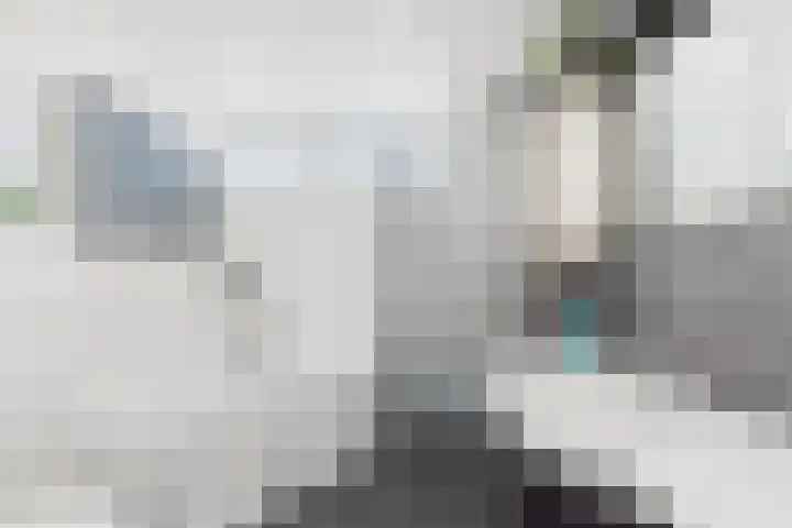 Dolfijnstraat 57 Middelburg thumbnail 32
