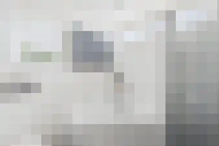 Dolfijnstraat 57 Middelburg thumbnail 34