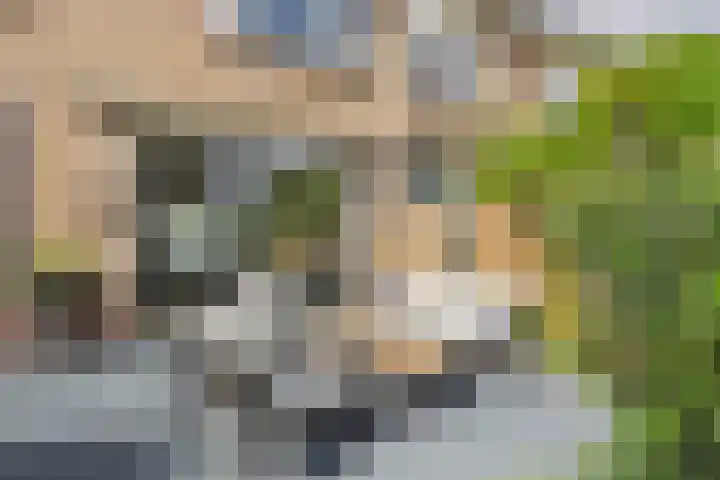 Dolfijnstraat 57 Middelburg thumbnail 43