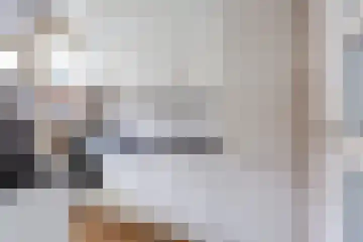 Dolik 11 Geldrop thumbnail 12