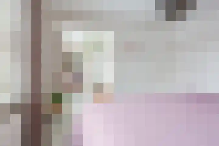 Dolik 11 Geldrop thumbnail 19