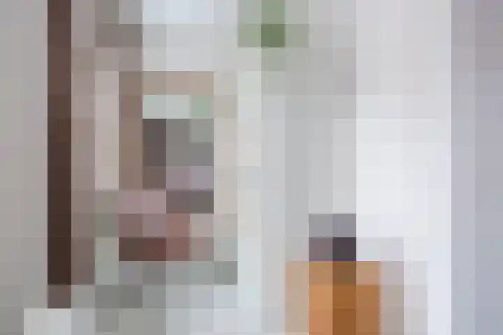 Dolik 11 Geldrop thumbnail 20