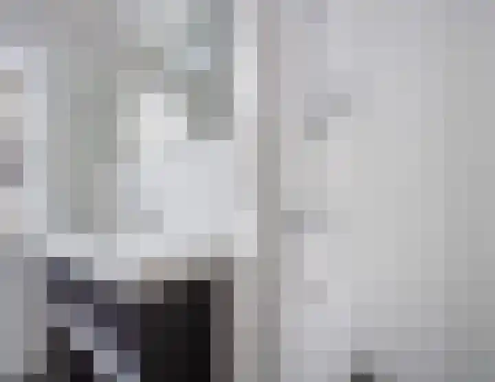 Dolik 11 Geldrop thumbnail 29