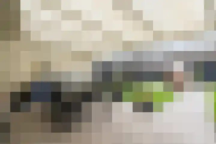Dolik 11 Geldrop thumbnail 36
