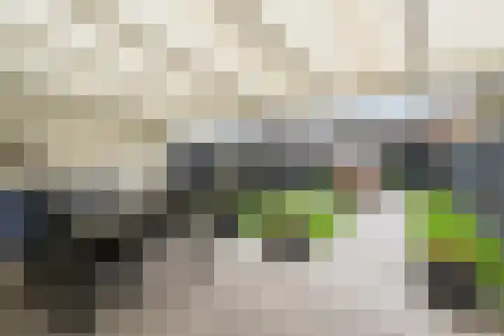 Dolik 11 Geldrop thumbnail 37