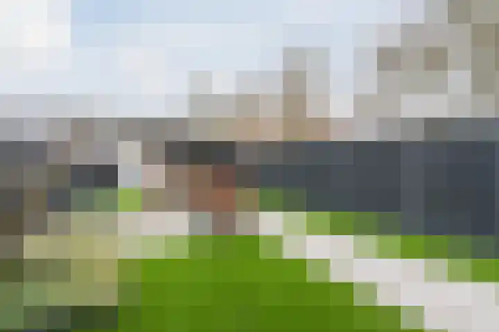 Dolik 11 Geldrop thumbnail 39