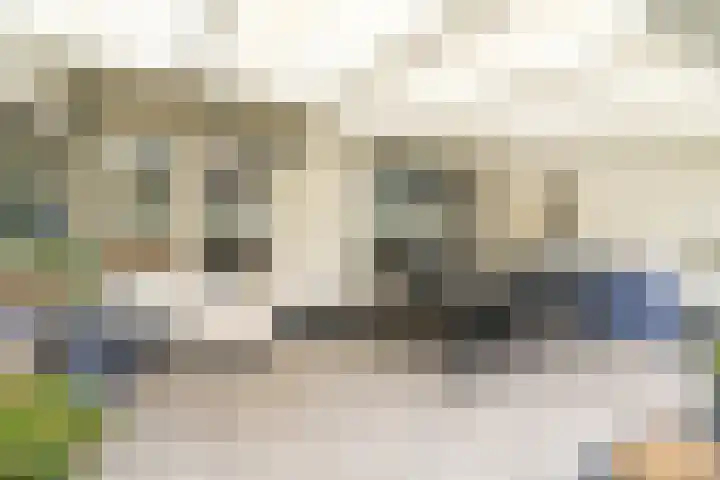 Dolik 11 Geldrop thumbnail 40