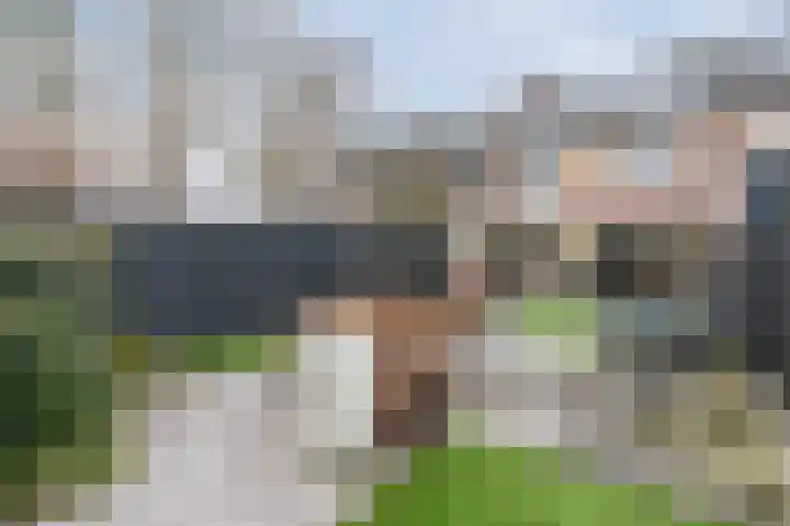 Dolik 11 Geldrop thumbnail 43