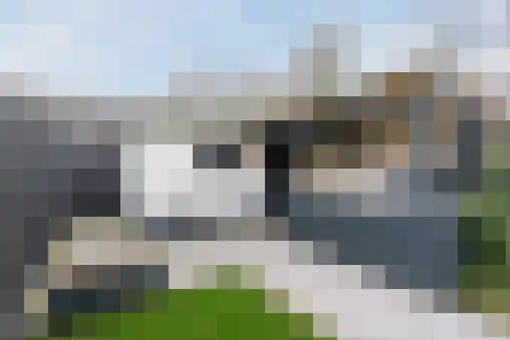 Dolik 11 Geldrop thumbnail 44