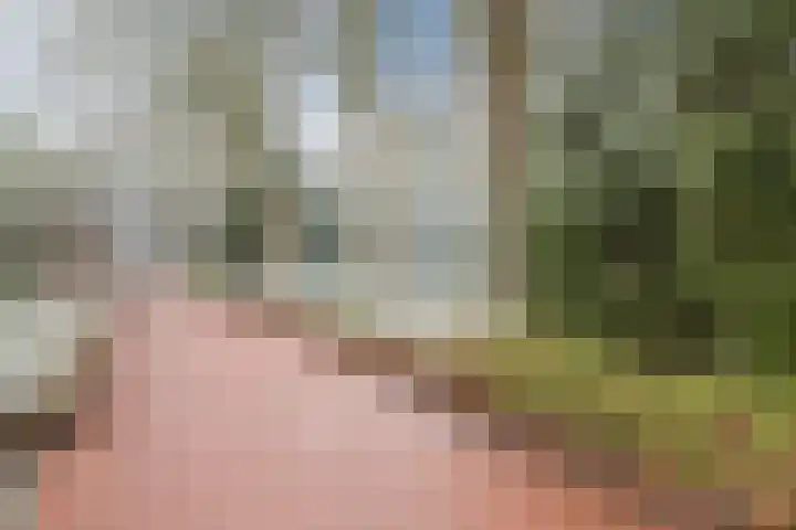 Dolik 11 Geldrop thumbnail 47