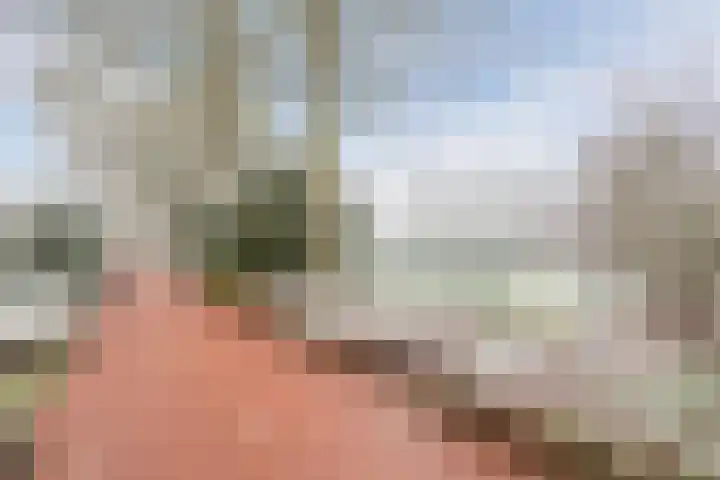 Dolik 11 Geldrop thumbnail 49