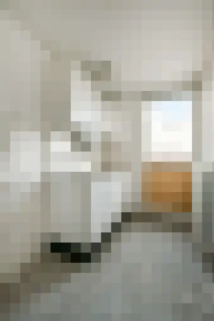 Dolingadreef 151 Amsterdam thumbnail 15