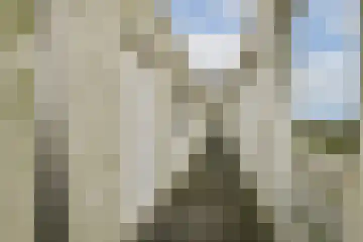 Dolingadreef 151 Amsterdam thumbnail 21